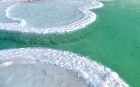 Nadia Hosting Dead Sea