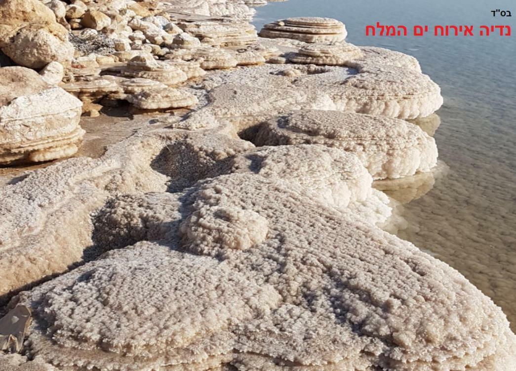 Nadia Hosting Dead Sea Villa Neve Zohar Exterior photo