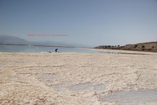 Nadia Hosting Dead Sea Villa Neve Zohar Exterior photo
